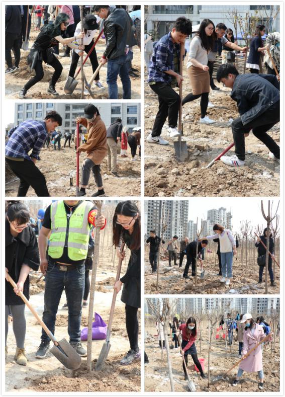 微信图片_20190404105340